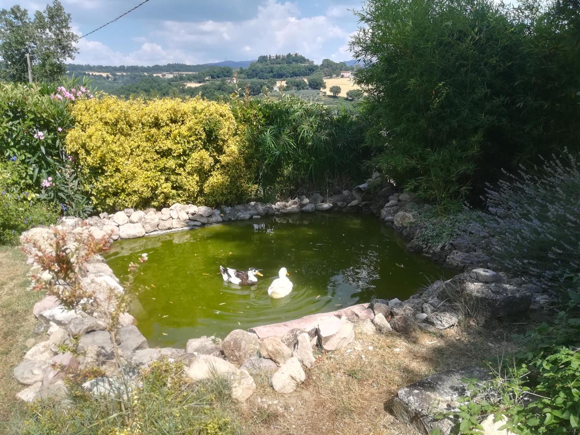 토티 La Piccola Fattoria 빌라 외부 사진