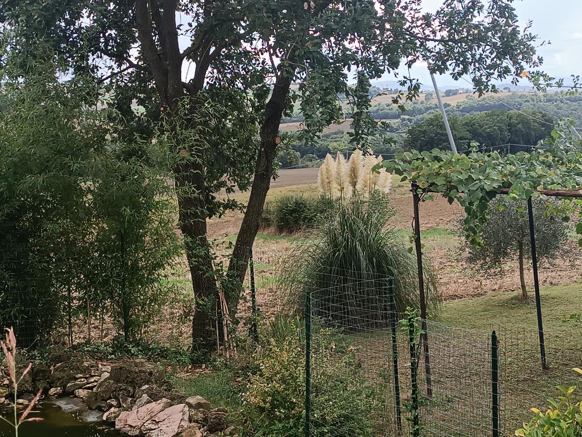 토티 La Piccola Fattoria 빌라 외부 사진