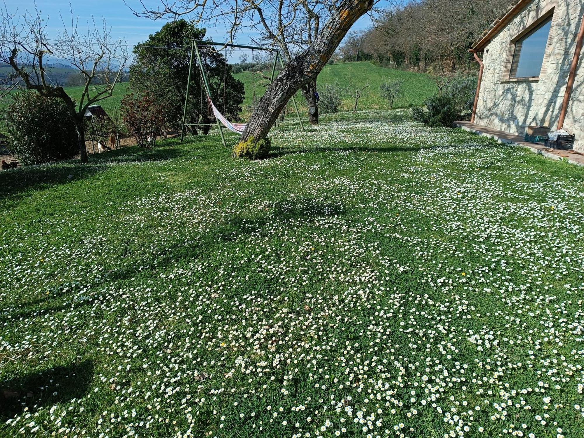 토티 La Piccola Fattoria 빌라 외부 사진